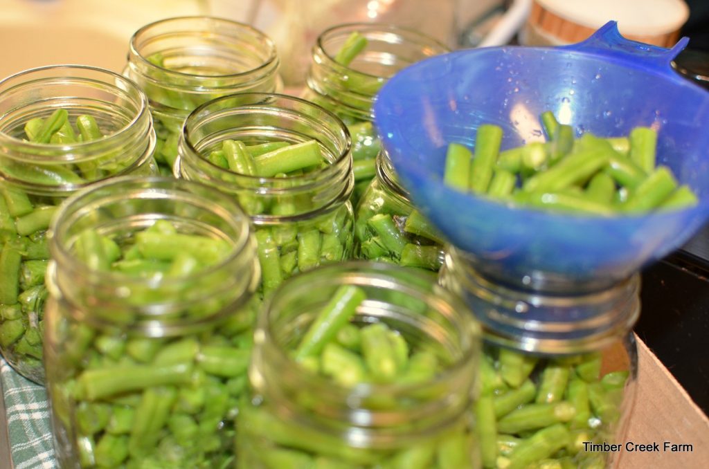 canning-green-beans